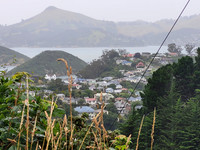 Port Chalmers