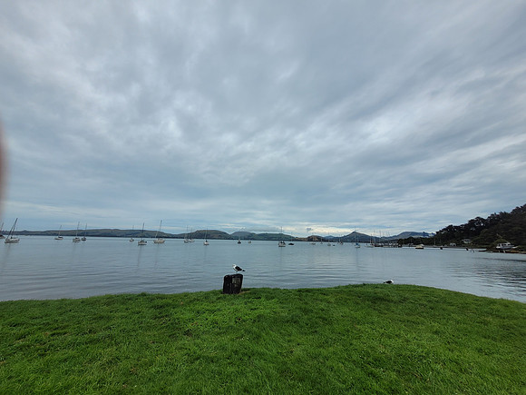 Deborah Bay