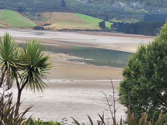 Purakaunui Inlet