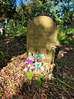 Nick Drake's grave
