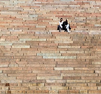 Steps, Helsinki