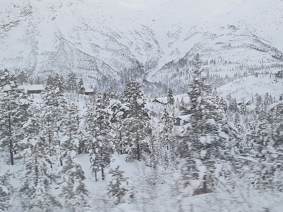 Back to Oslo on the train