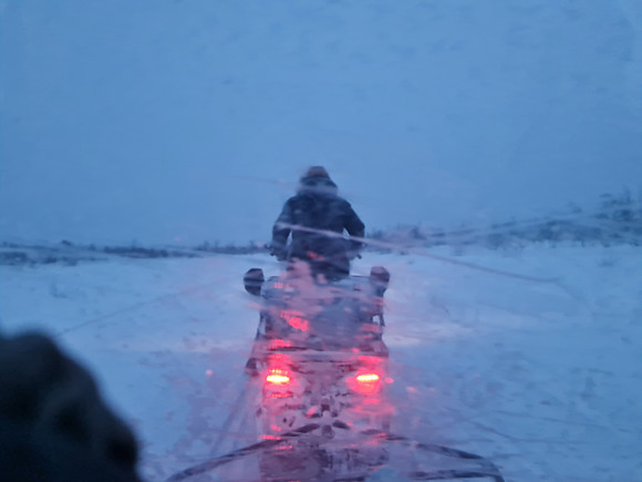 Sami Reindeer Tour