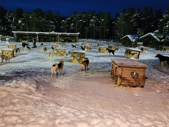 Engholm Husky Lodge, Karasjok