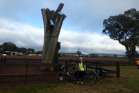 Camping Tree - birthplace of Mudgee