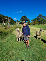 .. farmstay