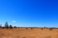 Currawinya Natioanl Park