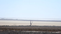 No water - just dust