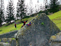 Eastern Rosellas
