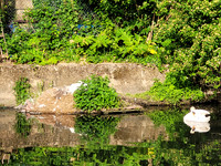 River Brent, London