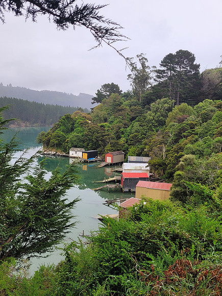 Boat Sheds