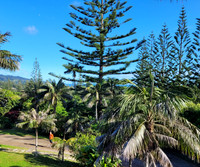 From our Balcony