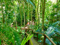 Norfolk Island Botanic Gardens