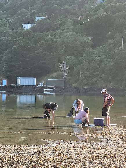 Cockle Collectors