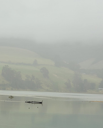 Mist