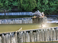 River Brent (again)
