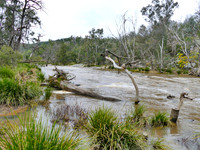 Namoi River