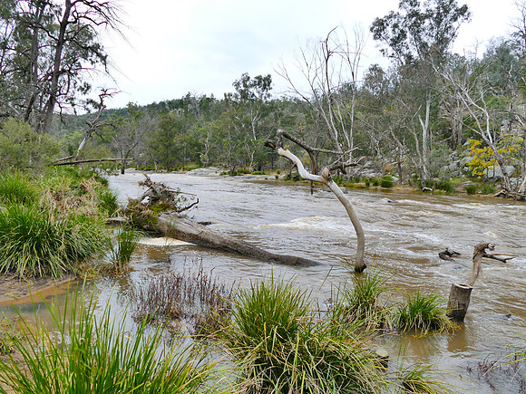 Namoi River