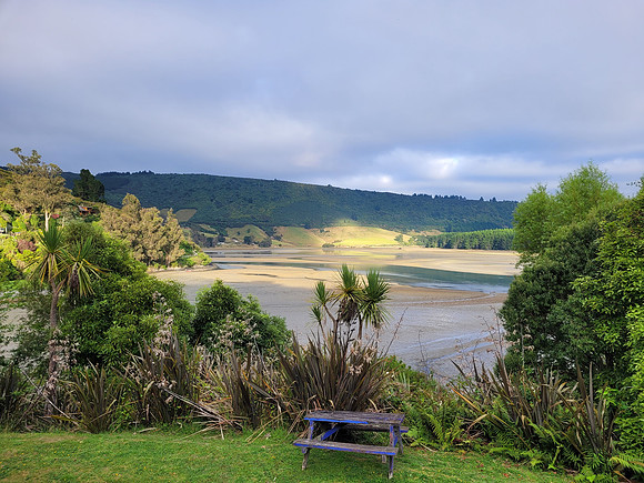 View From Bach
